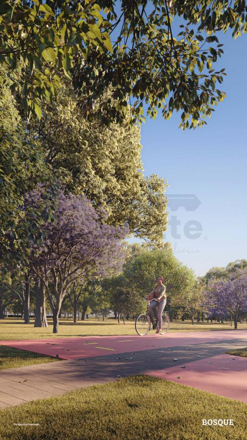 Terreno, 304 m² - Foto 9